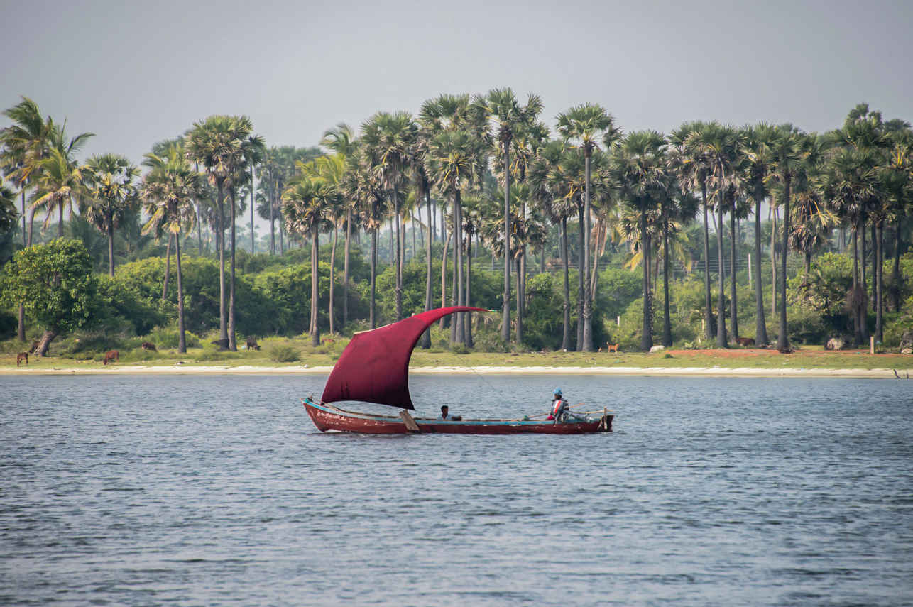 Esplorazione dell'isola - G Adventures Sri Lanka