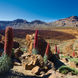 Eilandexploratie - G Adventures Canary Islands