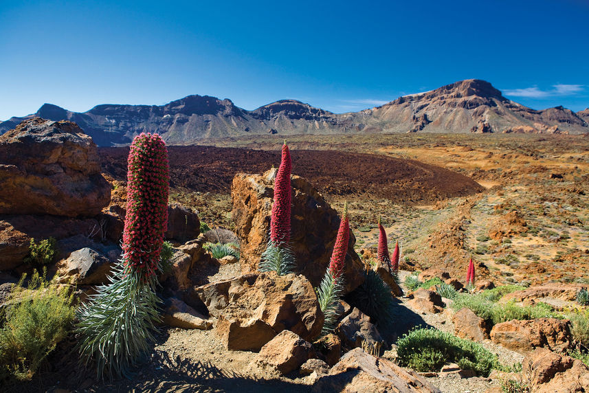 Explorations d'Iles - G Adventures Canary Islands