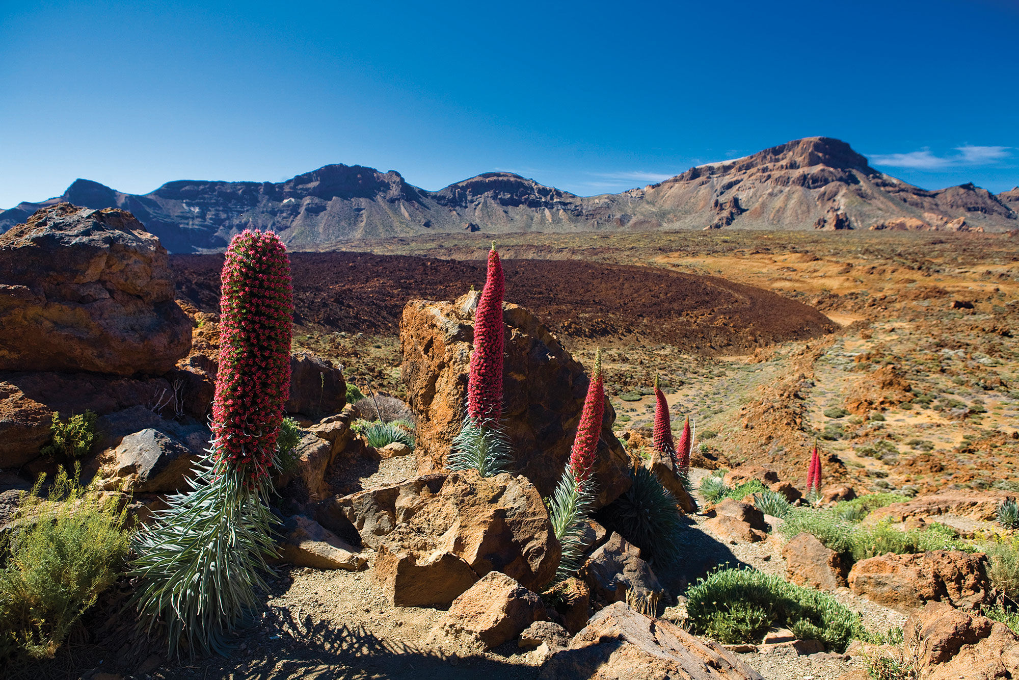 Island Exploration - G Adventures Canary Islands