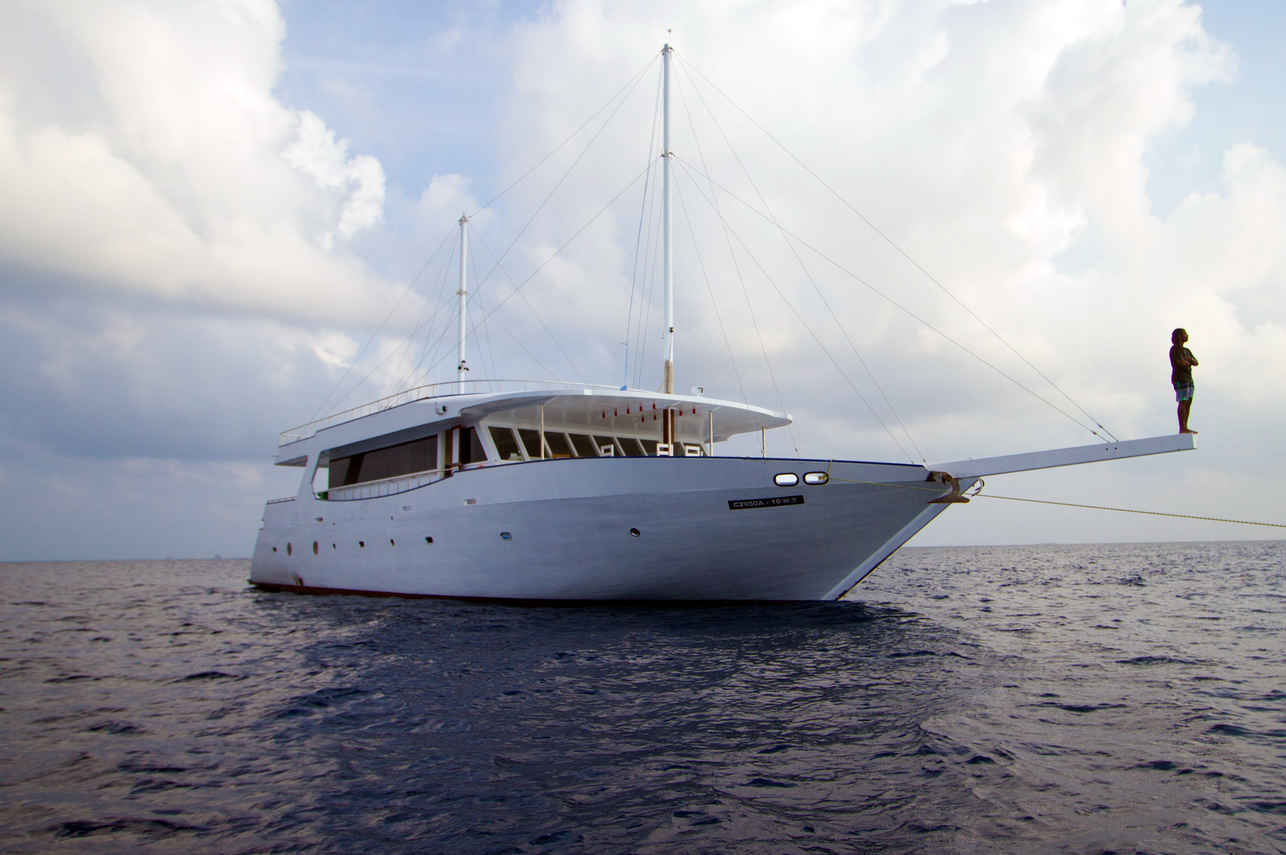 Sea Farer
