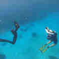 Snorkeling - Powerplay