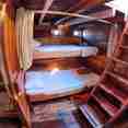 Shared Cabin
