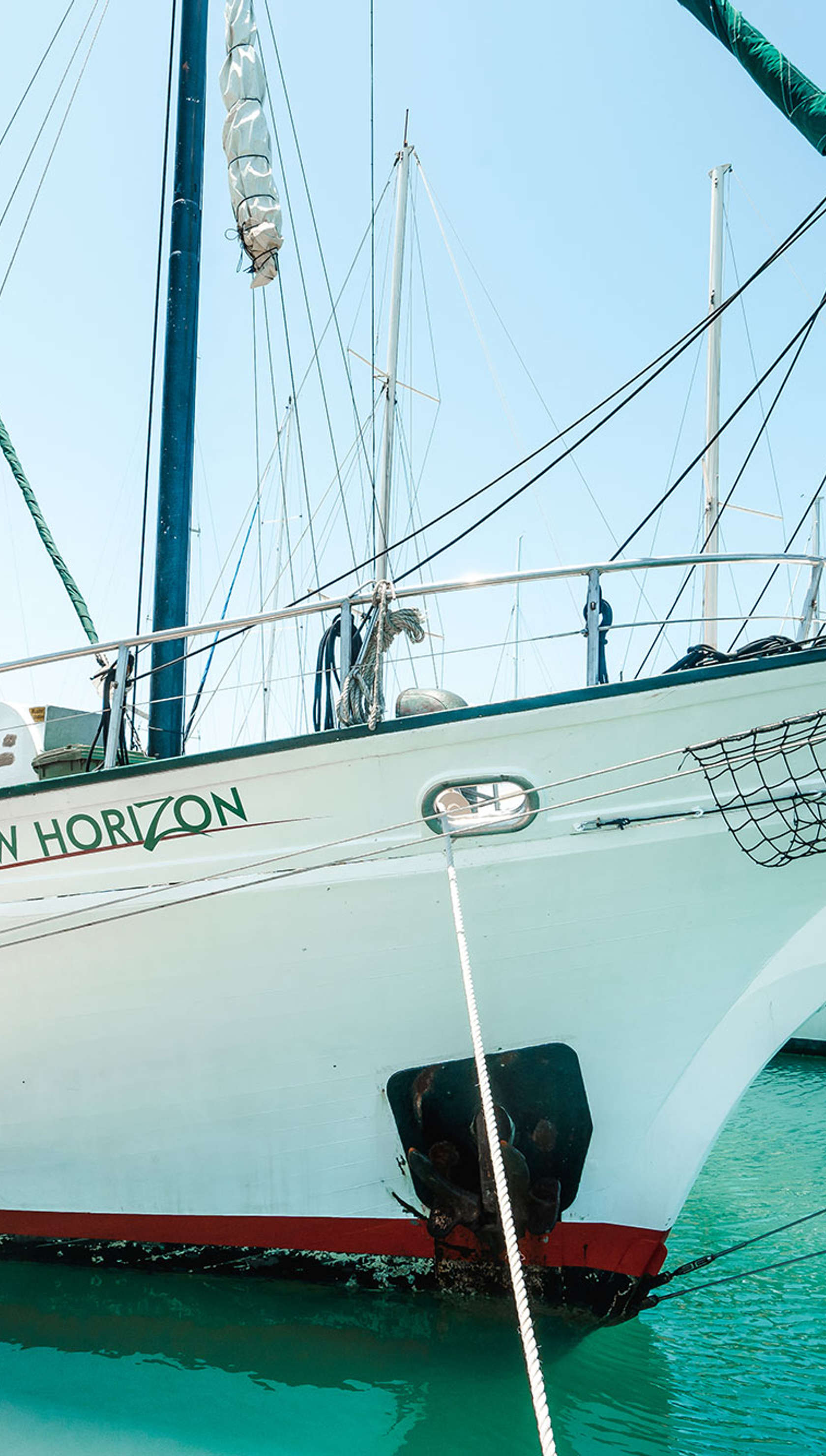 New Horizon
