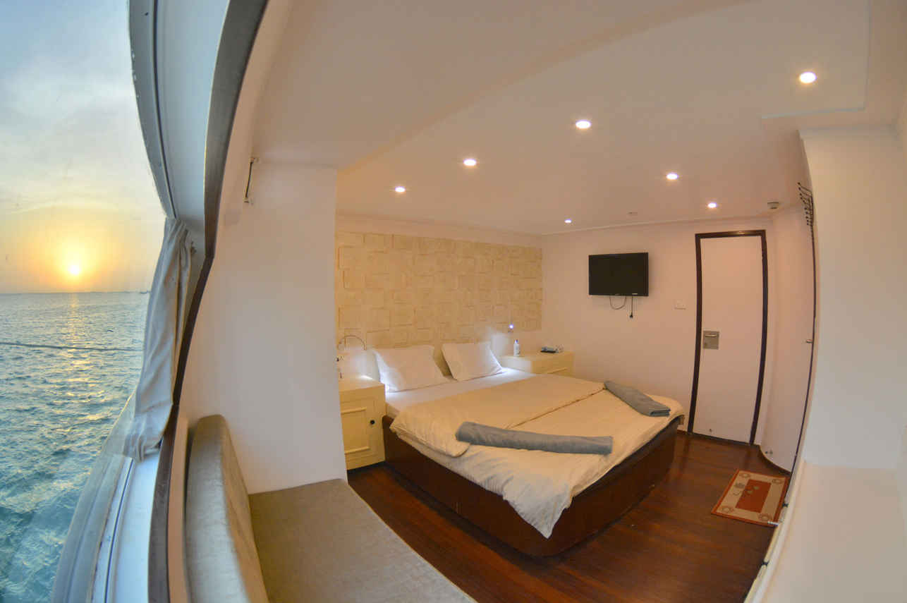 Double Cabin - Almonda