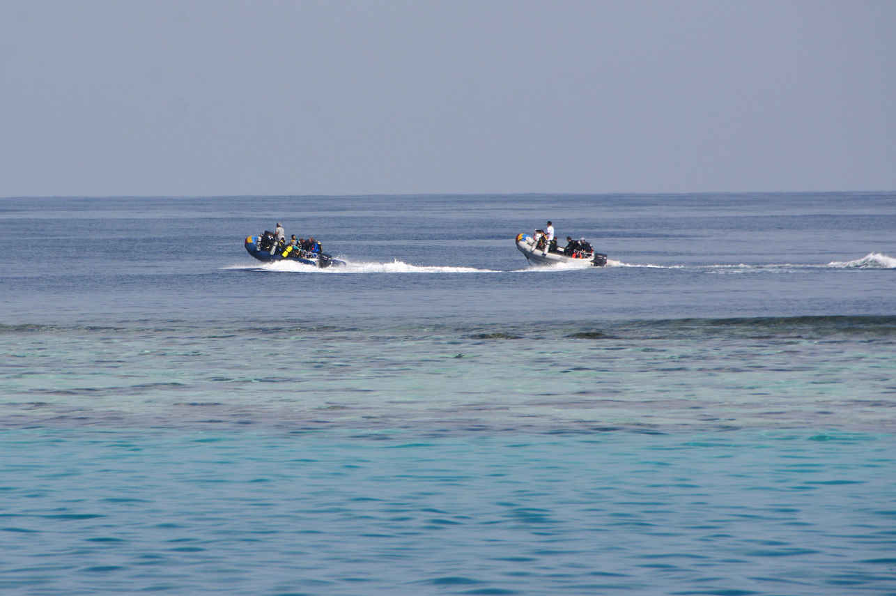 Botes p/ mergulho - Almonda