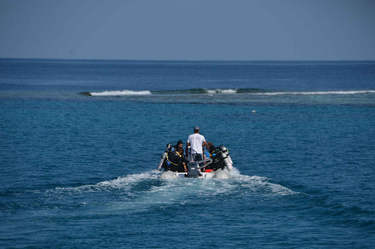 Botes p/ mergulho - Almonda