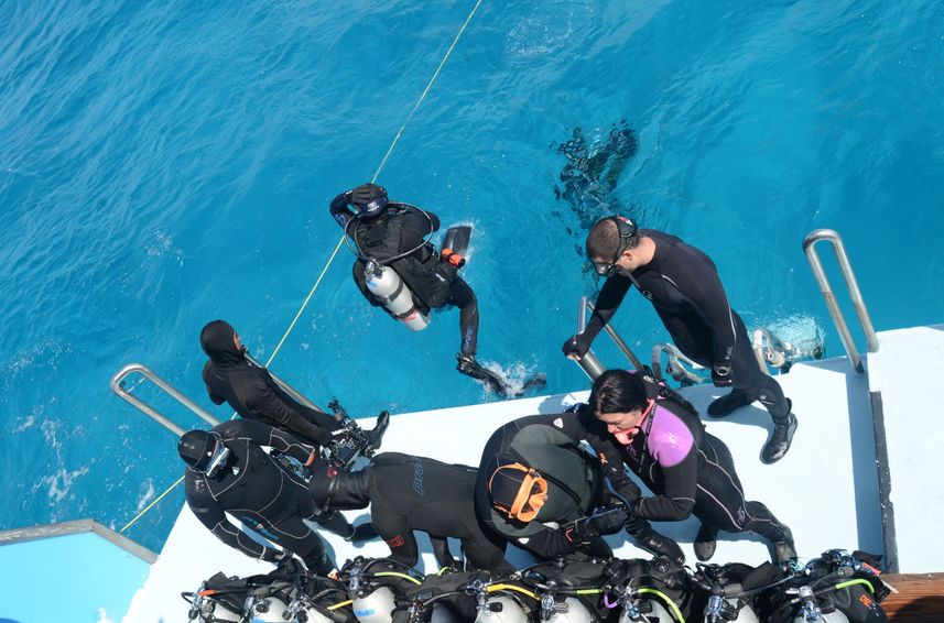 Cubierta de buceo - Dolphin Dream