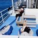 Sun Deck - Dolphin Dream