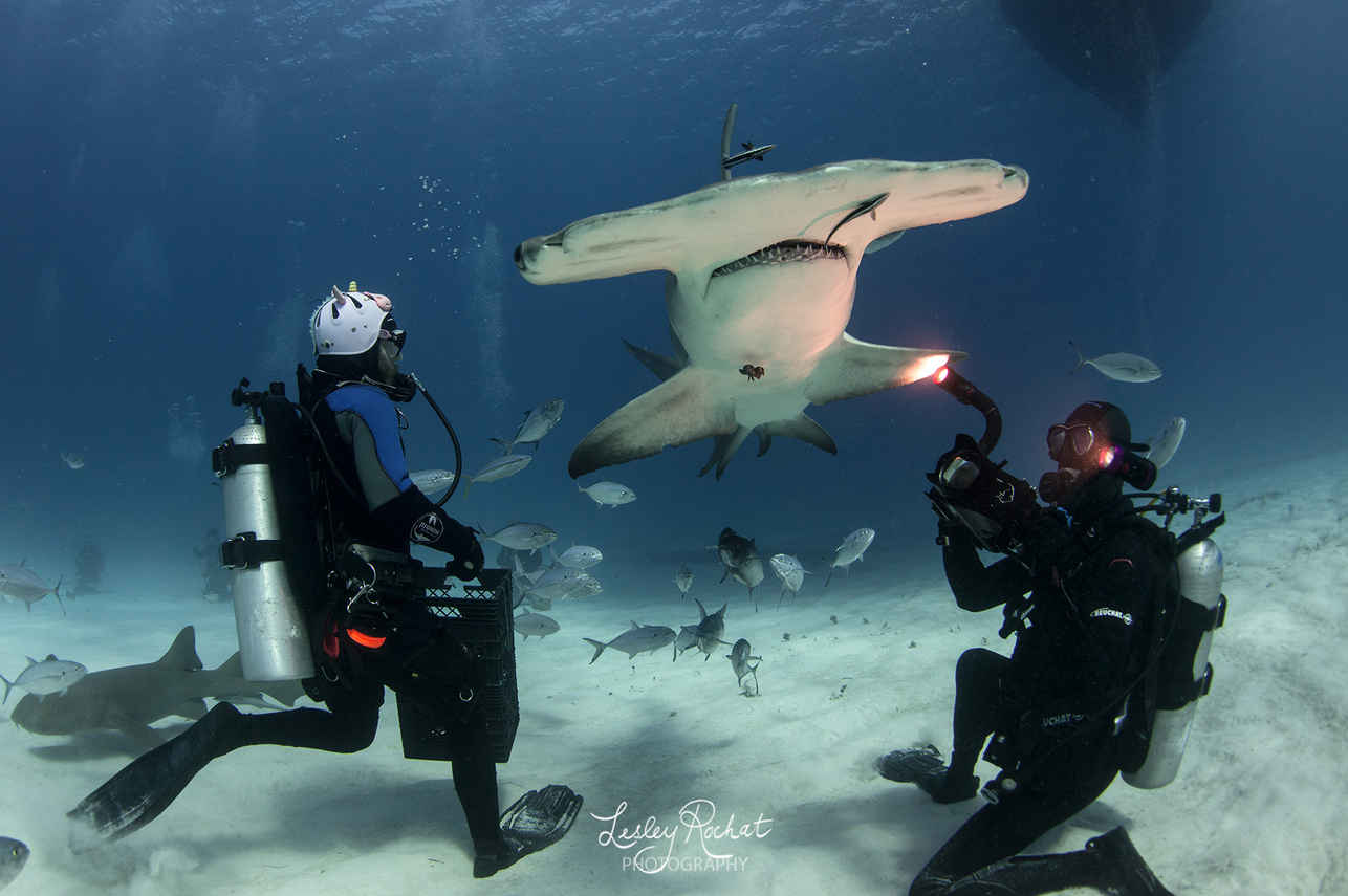 Diving
