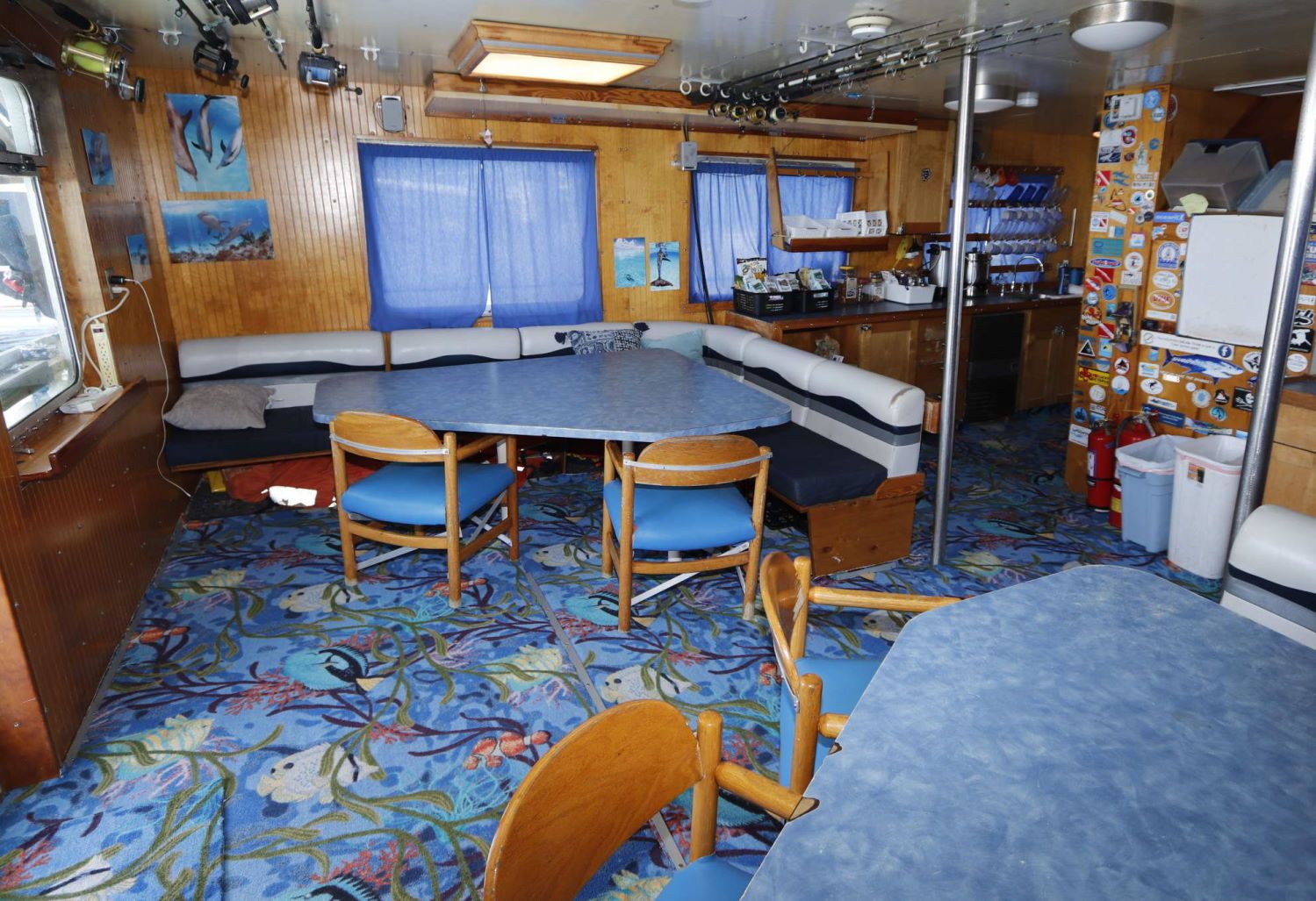 Indoor Saloon - Dolphin Dream