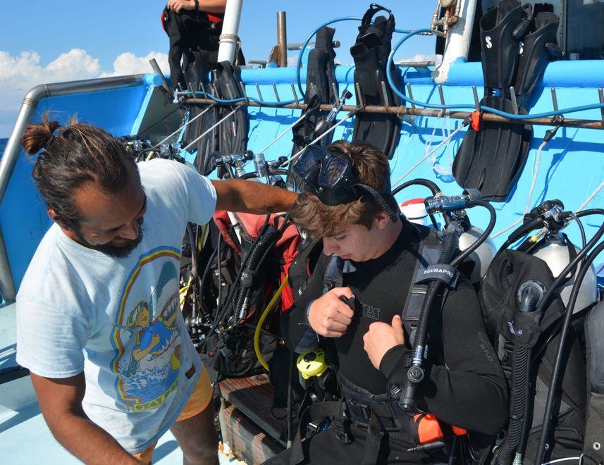 Cubierta de buceo - Dolphin Dream