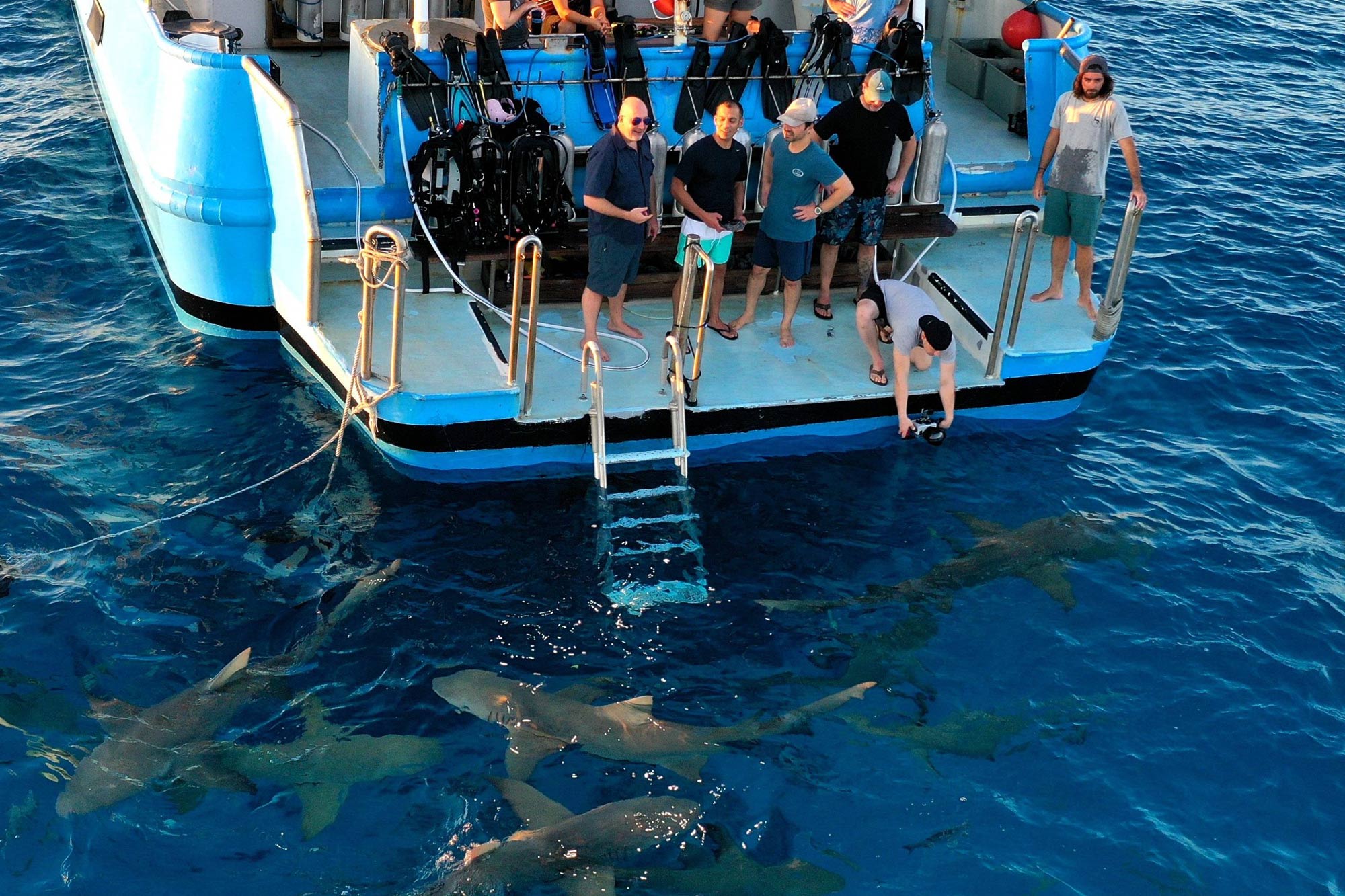 Piattaforma per subacquei - Dolphin Dream