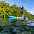 Stand Up Paddle - Majik