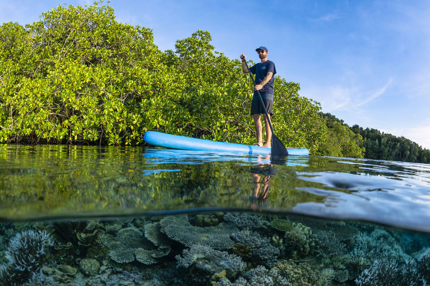 Paddleboarding - Majik