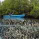 Caiaques a bordo - Majik