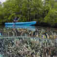 Kayaks an Board - Majik