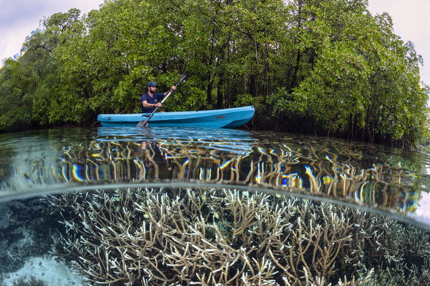 Kayak a bordo - Majik