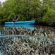 Caiaques a bordo - Majik