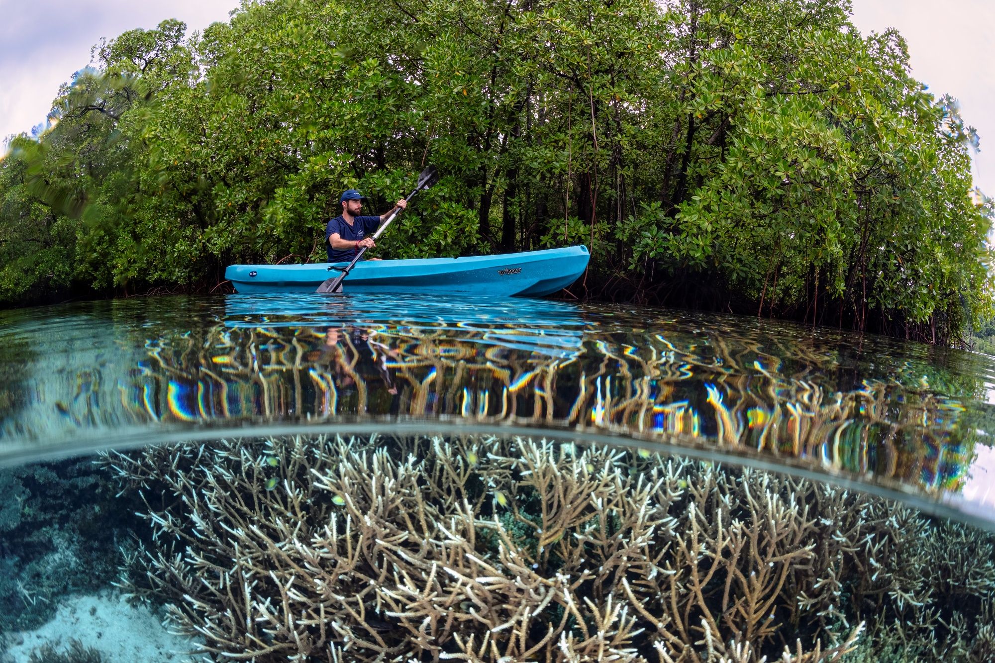 Onboard kayaks - Majik