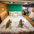 Double Cabin - Navila