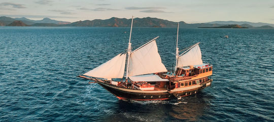 Queenesia II liveaboard in Indonesia