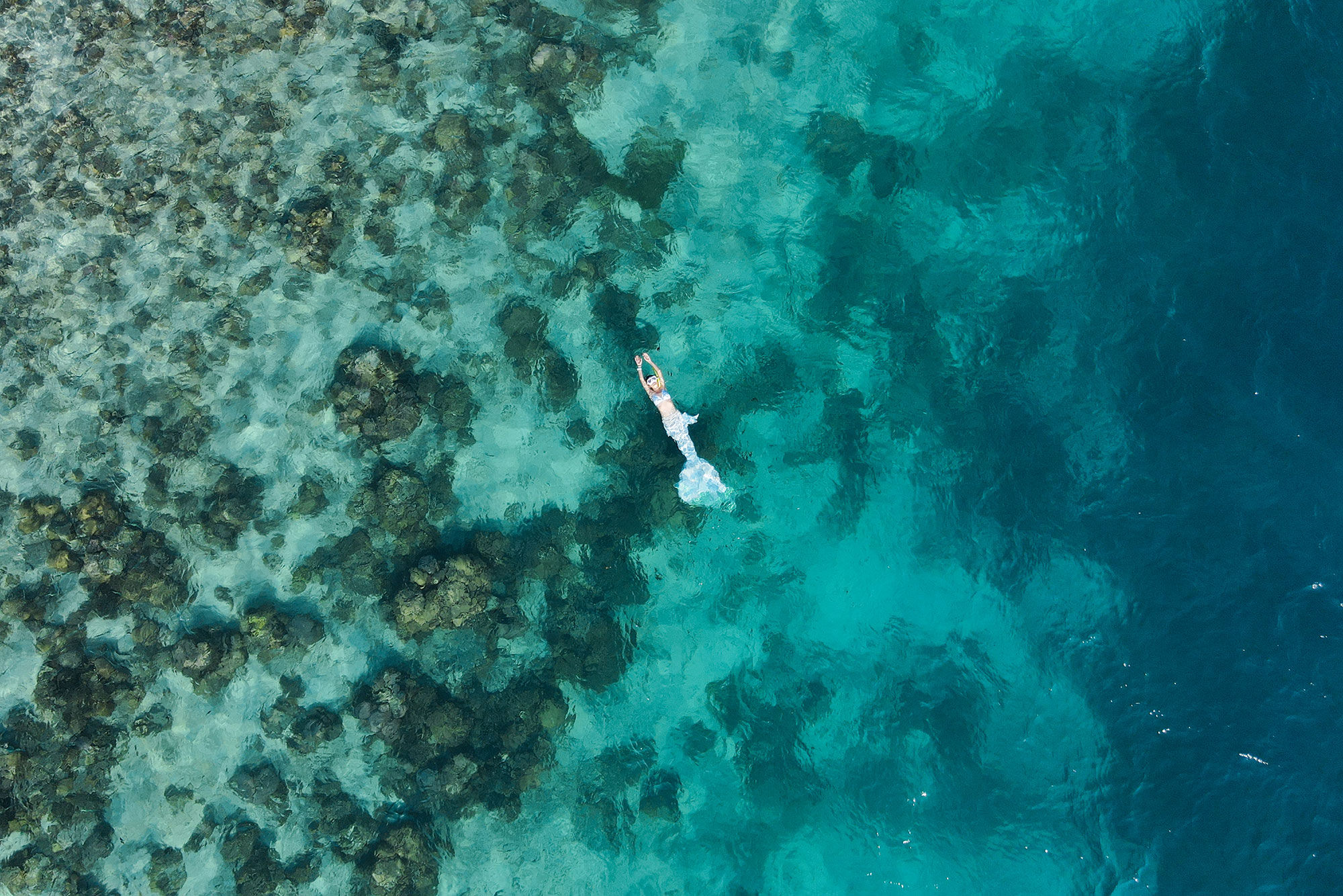 Snorkelling  - Queenesia II