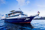 Blue Dolphin