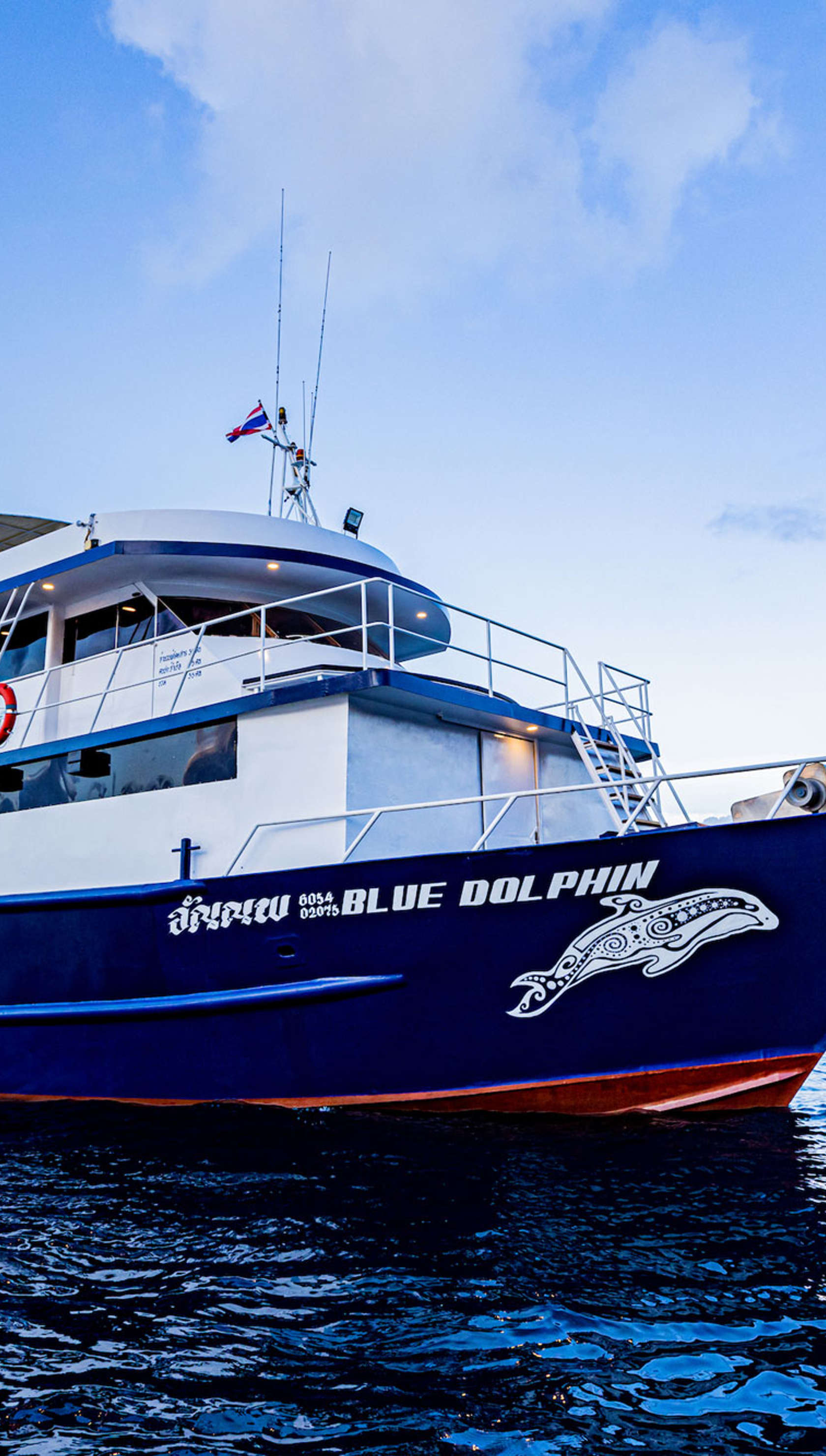 Blue Dolphin