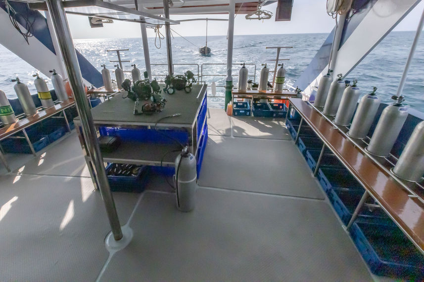 Dive Deck