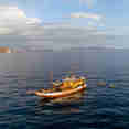 Neptune One