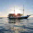 Neptune One