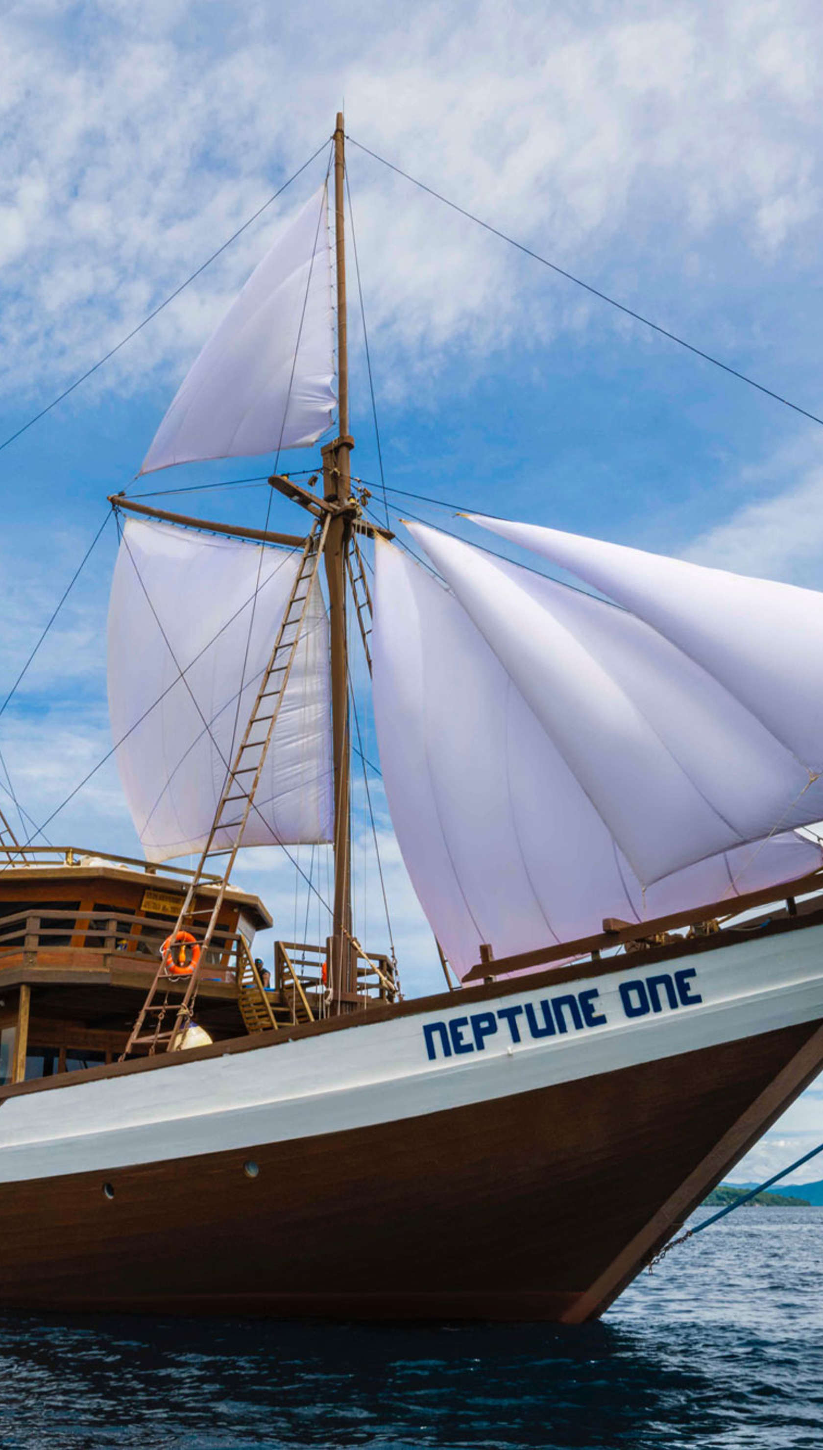Neptune One