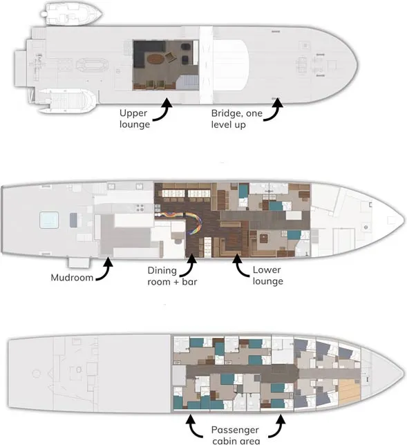 disposizione del ponte