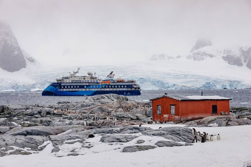 Ocean Albatros Arctic