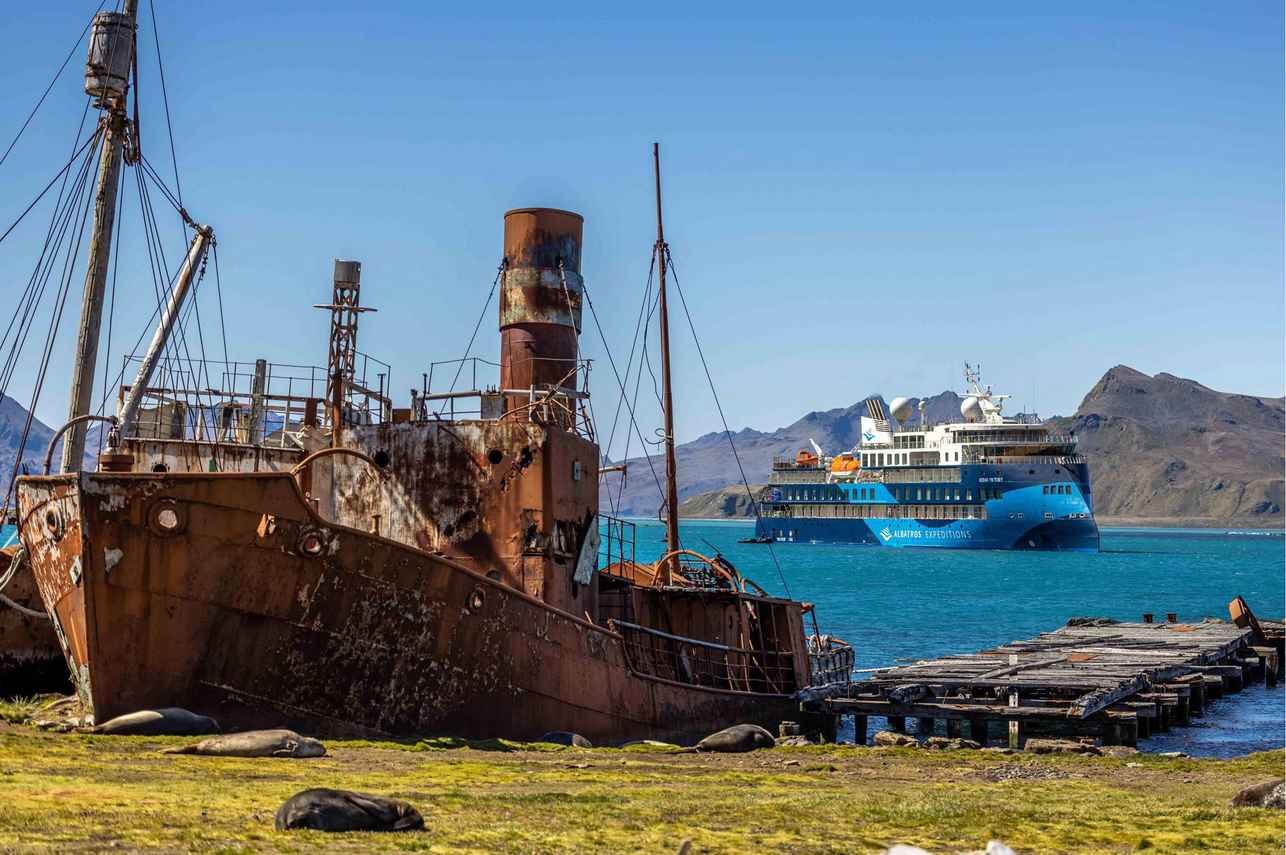 Ocean Albatros Arctic