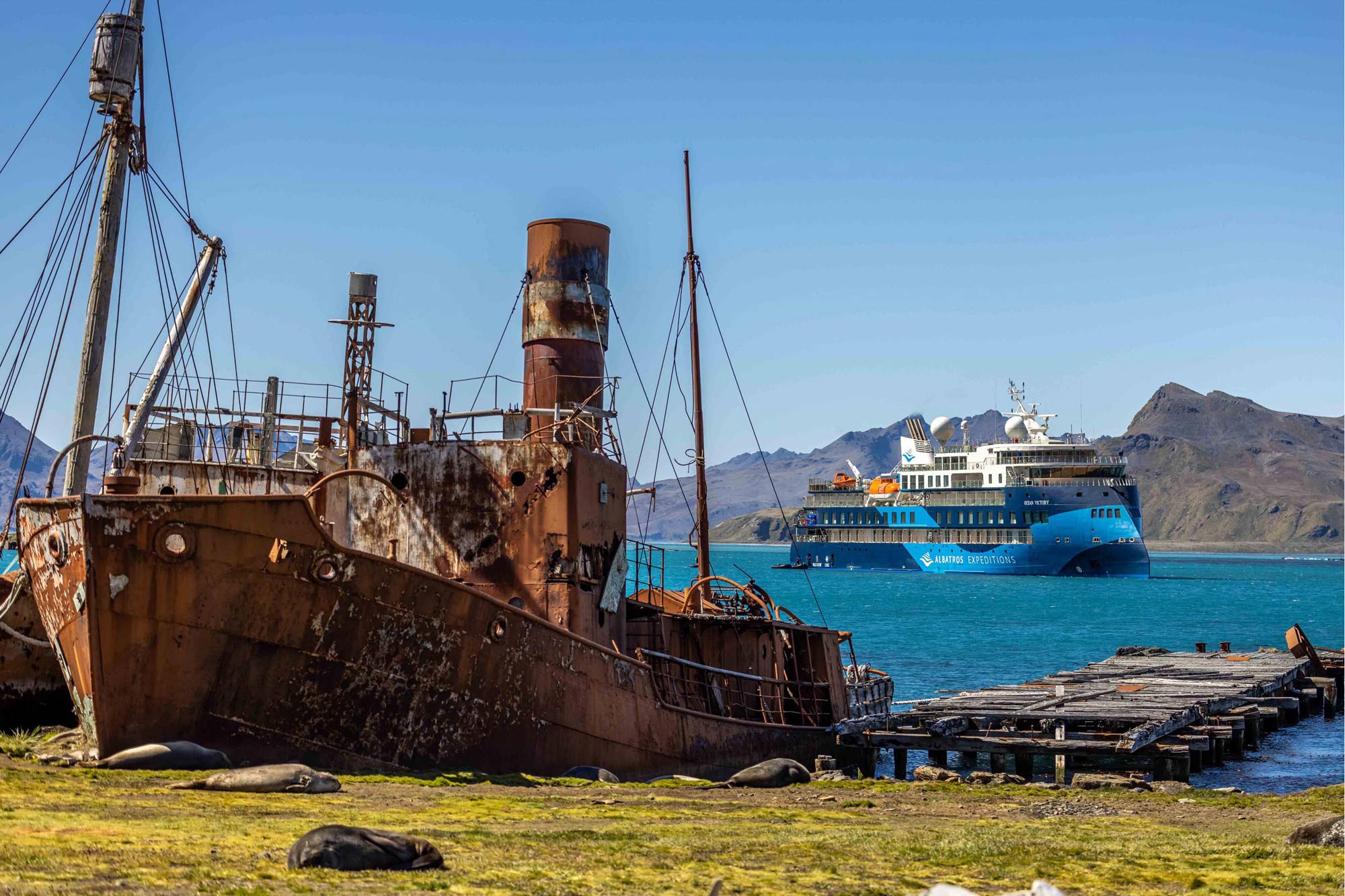 Ocean Albatros Arctic