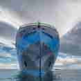 Ocean Albatros Arctic