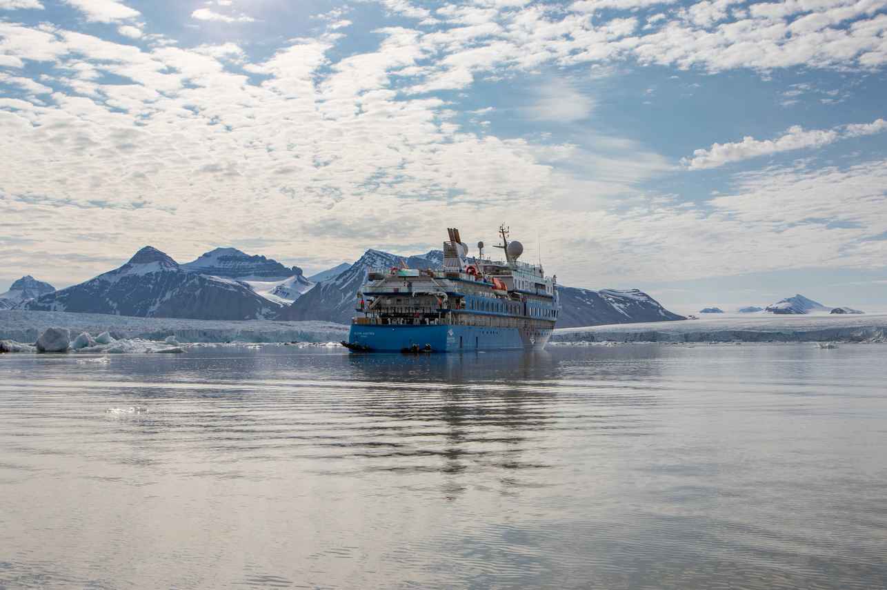 Ocean Albatros Arctic