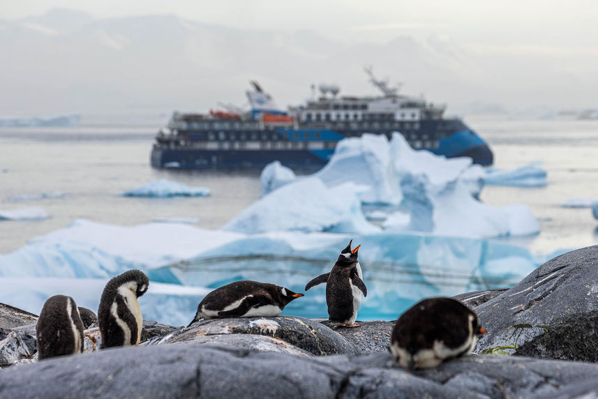 Penguins - Ocean Victory