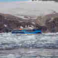 Ocean Albatros Antarctica