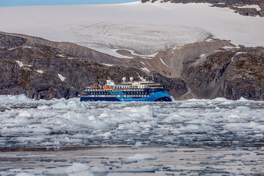 Ocean Albatros Antarctica