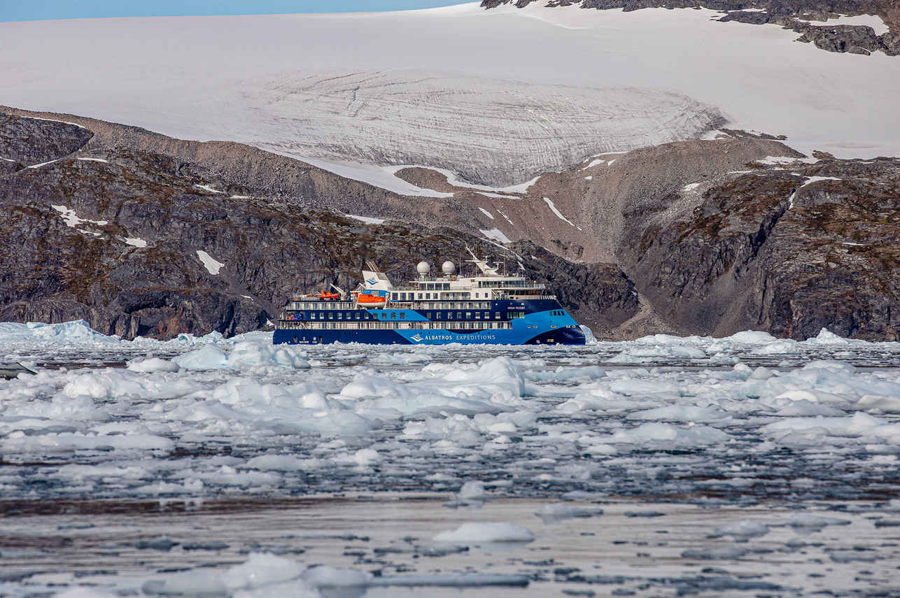 Ocean Albatros Antarctica