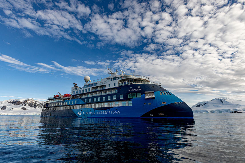 Ocean Albatros Antarctica