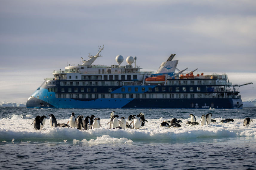 企鹅 - Ocean Albatros Antarctica