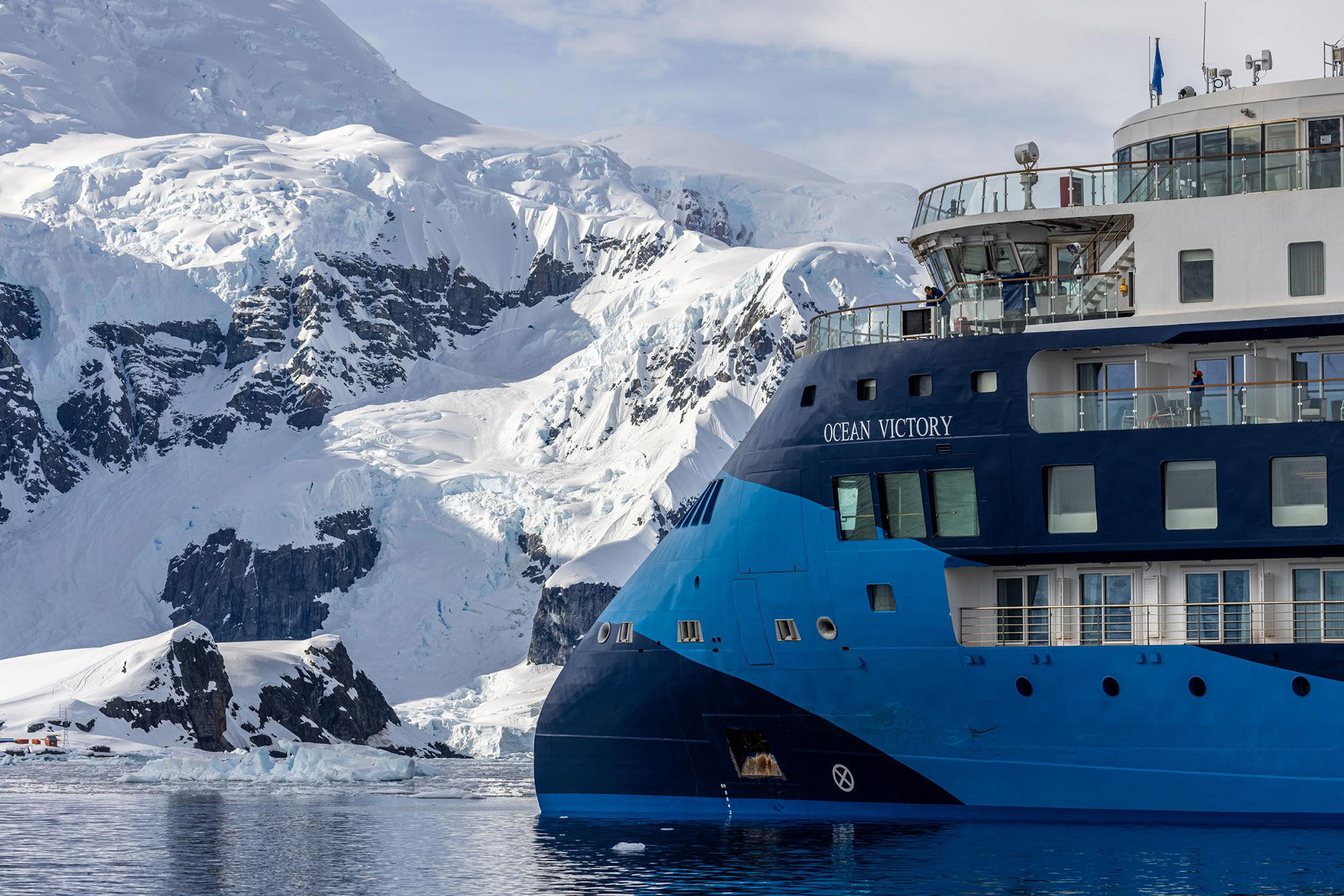 Ocean Albatros Antarctica