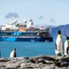 Pinguïns - Ocean Albatros Antarctica