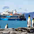 Penguins - Ocean Albatros Antarctica