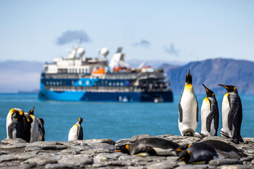 Penguins - Ocean Albatros Antarctica