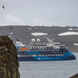 Ocean Albatros Antarctica